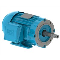 Electric Motor - TEFC